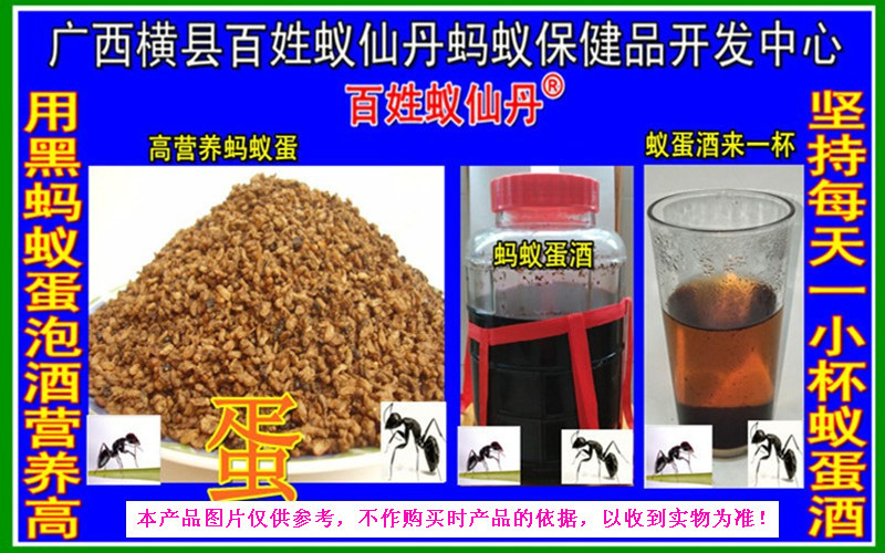 0-0.参考 蚂蚁蛋 8x5.jpg