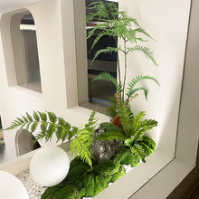 ����Gֲ�쾰�҃Ƚ�������¾��^�٘�����bWʽ����ֲ������