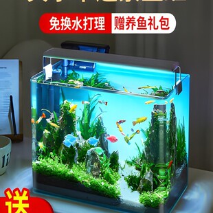 Fish Tank Living Room 2024 New Model No Water Change Self-Circulating Landscaping Hot-Bent Glass Tank Small Desktop Ecological Fan Rainbow