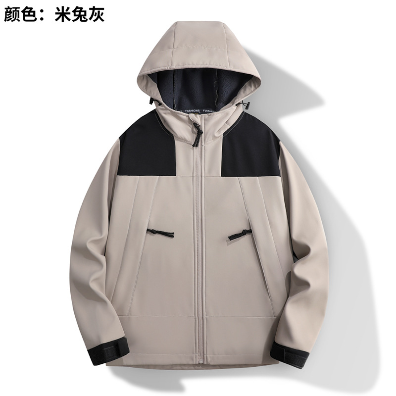 베이지 색 토끼