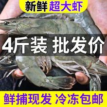 大虾新鲜鲜活冷冻海捕基围对青白海鲜水产批发一件代发一件批发