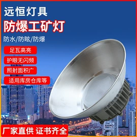 工矿灯;防爆灯;其他专用灯具