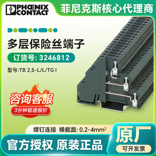 Phoenix Contact Fuse Terminal Tb 2,5-L/L/Tg I/3246812 Multi-Layer Terminal Block