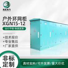 XGN15-12高压环网柜户内环网柜开关柜成套设备固体智能