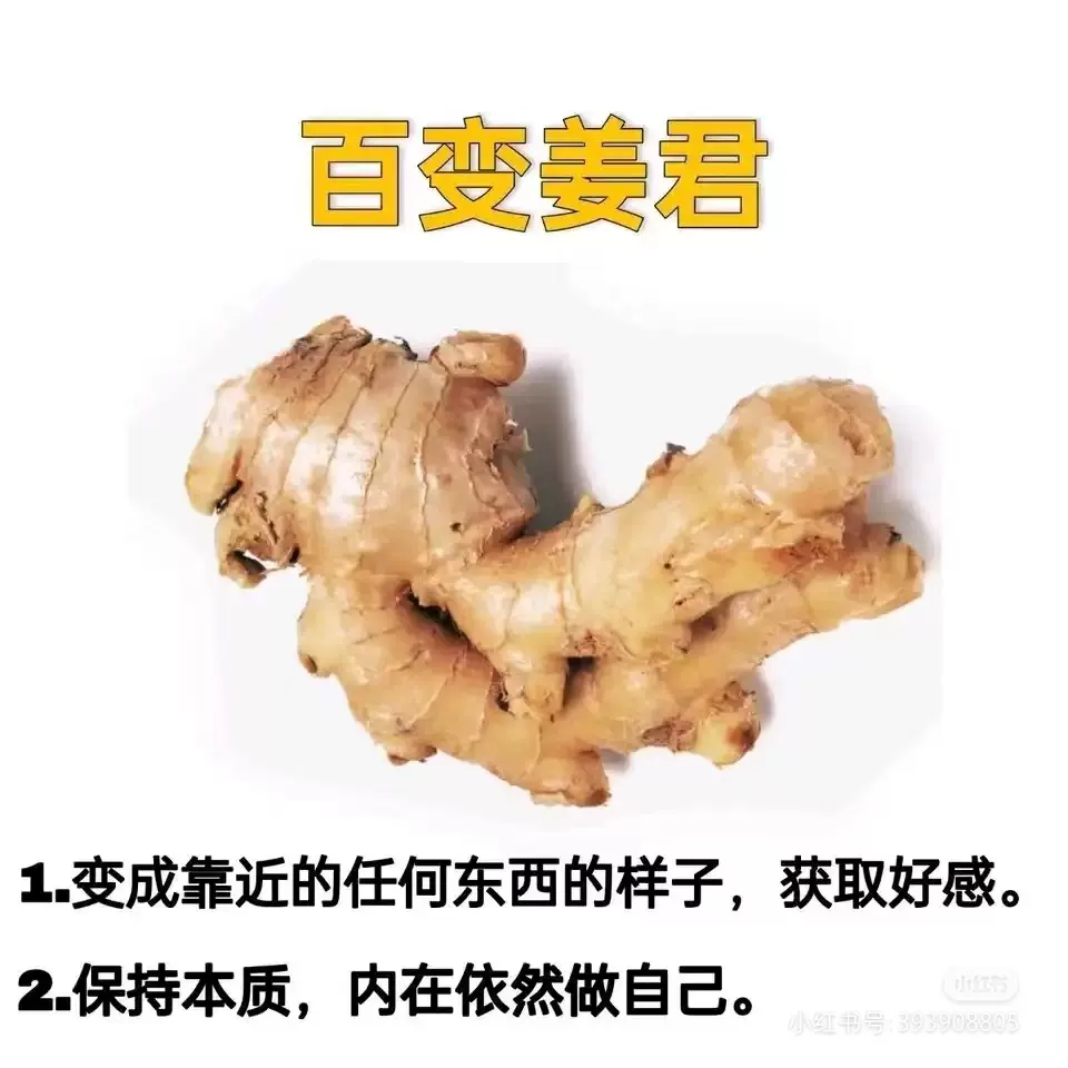 测试不同供应商、同运费模版上门揽--002