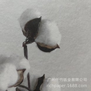��͹ӡˢ���޼�����w�S�޸�ʿɽCOTTON FSC�طNˇ�g��