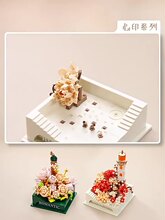 ���ֵϼ����ָ�С������ľ����������ڼ���ͯ���Ů����������