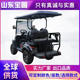 电动观光车;高尔夫球车;其他电动车