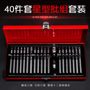 40-Piece Set of Star Bit Set with Hex Wrench Set Combination Auto Repair Tools Spline Pattern Twelve Plum Blossom Bits