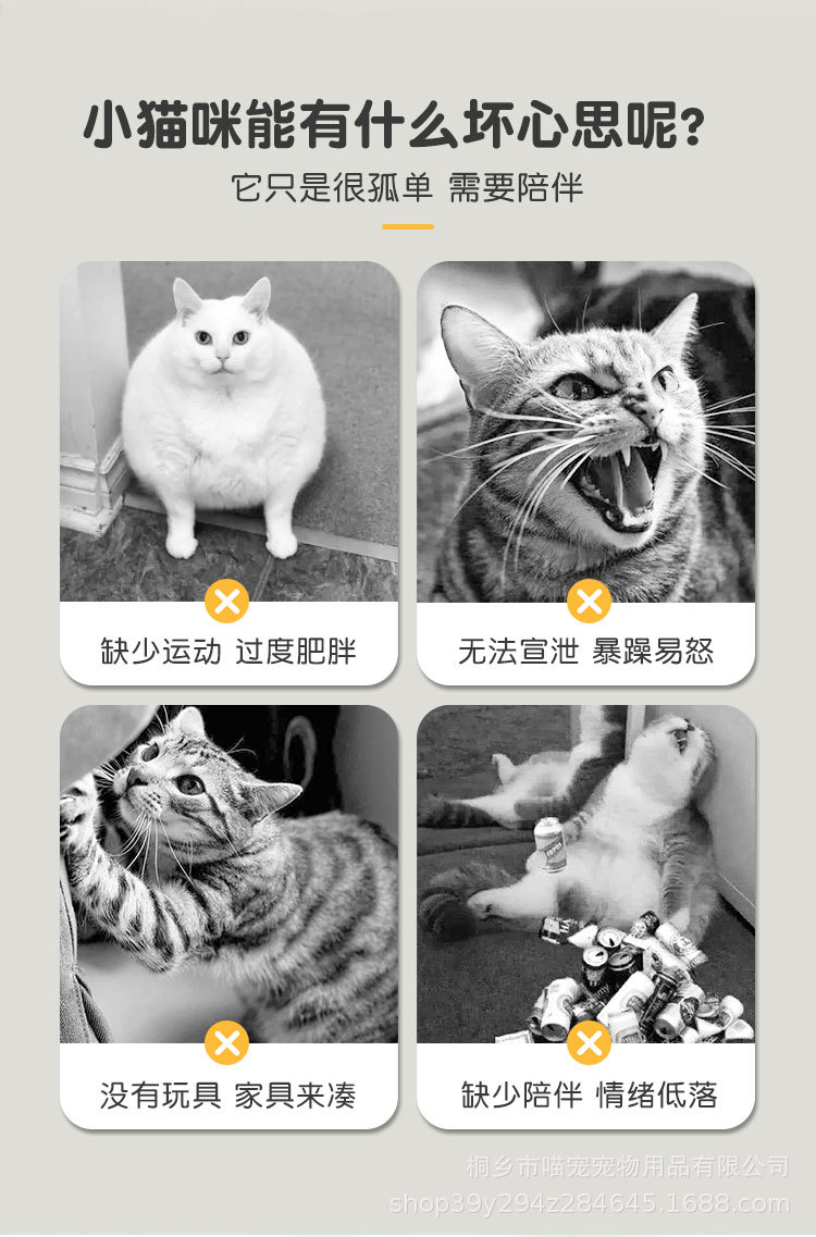 详情_03.jpg