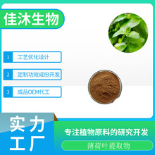 SC 厂家供应薄荷叶提取物（ 银丹草提取物）10:1样品供应量大从优