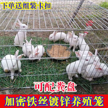 兔子笼子兔笼特大号家用养殖笼加粗加密鸡笼豚鼠笼饲养宠物兔好看