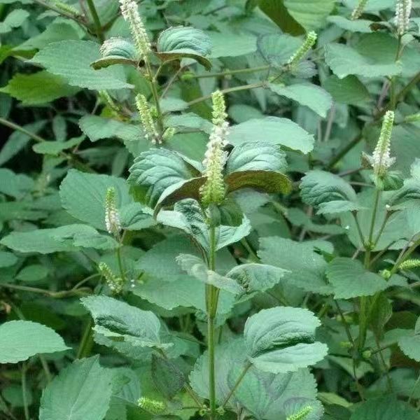 微信图片_202306211124232