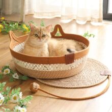 ؈�@���ۯB؈�@����ĥ�����K������l������ϴ��˯�������K���|