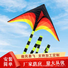 潍坊传统大草原风筝大型成人户外放飞玩具微风易飞三角长尾风筝