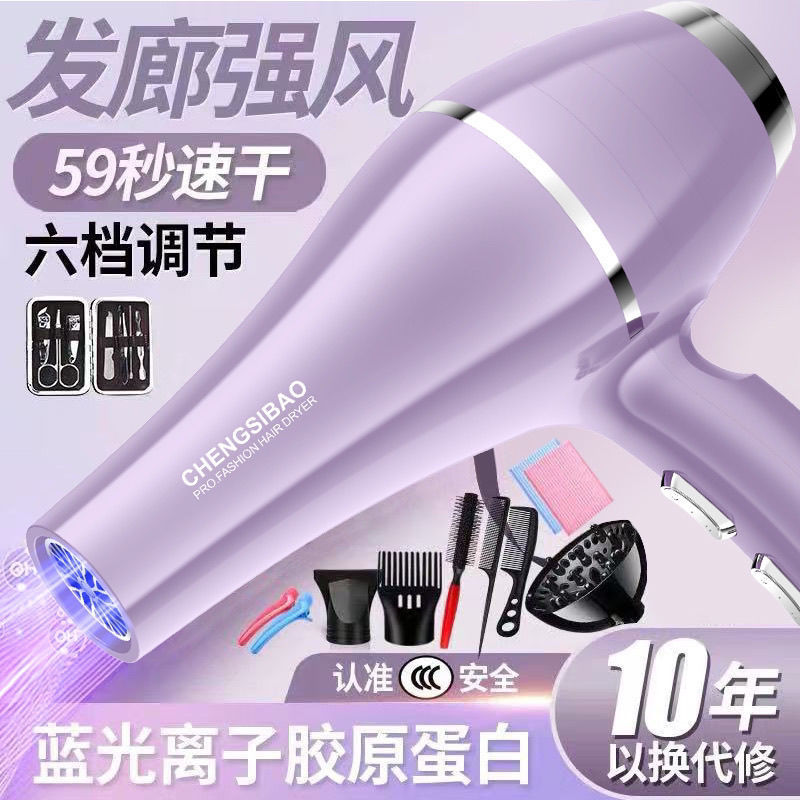 Hair Salon Hair Dryer Household High-Power Blue Light Barber Shop Negative Ion Hair Dryer Hot and Cold Hair Care Silent and Durable