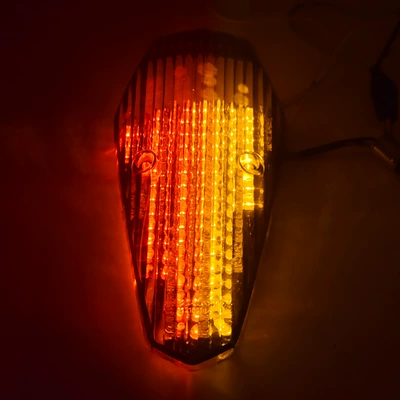 Brake Turn Signal Assembly, Motorcycle tail