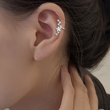 �������Ƕ��ǊA2026�ꂀ��С��荱������Ƕ��h�o���������荶��A