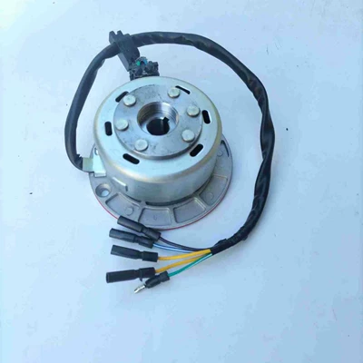 High-Speed Motor Yinxiang 160 – Power supply, ignition system accessories