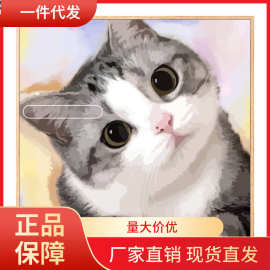 V45O猫咪数字油画diy填充手绘涂色可爱手工礼物填色系丙烯装