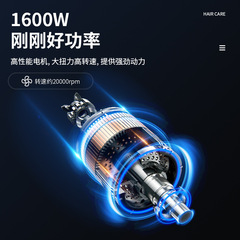 工廠壁掛式電吹風酒店吹風機浴室掛牆賓館干發器家用批發電吹風筒