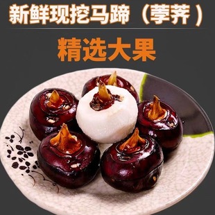 ����ȥƤ�R������������Ƥ���R���r���֭�����خa�Nֲ�a��һ����