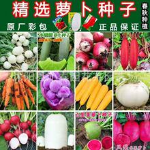 ˮ���}���N�ўH�����}���N�Ӵ�ȫ����ɳ�C�}���N����ﶬ���߲���