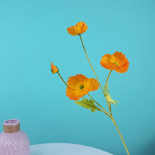 �S��ֱ��4�^�����˷��滨��@��Y��c�������ڻ� ·���Ҿ��b�