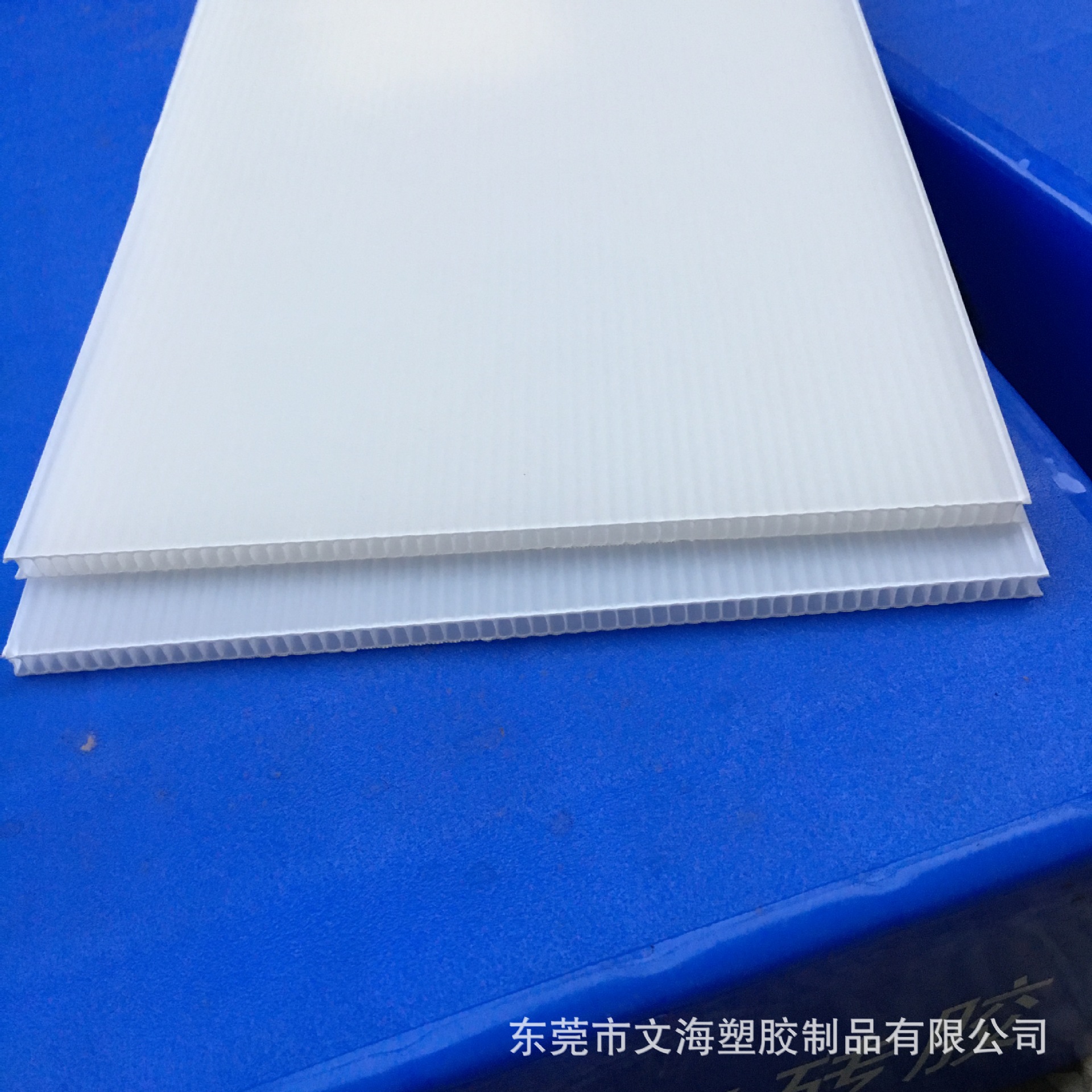 pp塑料板中空板平板乳白色5mm厚瓦楞板隔板定制各类尺寸