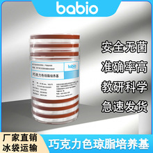 ٲbabioɿɫ֬BƽChocolatebloodߺ