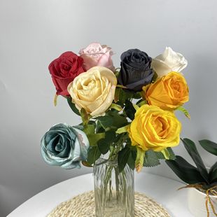 ��������õ����滨 ��֧���^��������õ��ٻ� ���R�d�羳õ��