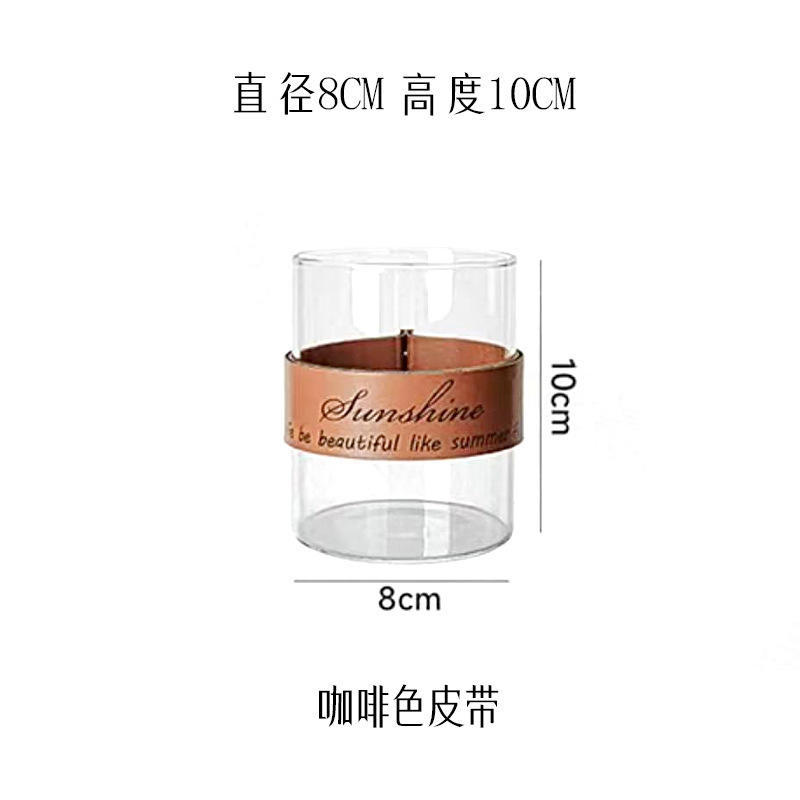 創意皮革手提げガラス生態花瓶杯微景観水培植物花器乾花工芸創意家庭|undefined