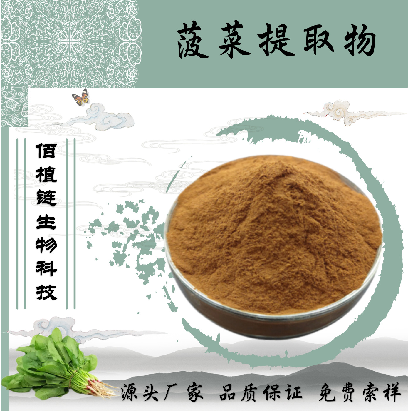 菠菜提取物10:1   红根菜粉  食品原料萃取  浓缩菠菜粉 源头工厂