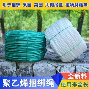 ȫ���Ͼ���ϩ���������K؛܇��������K����O�I��ˮ�BֳPE�K��