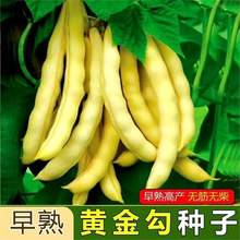 ShܶNӟooSɫ߮a߲˷NS𹴖|Ͷ