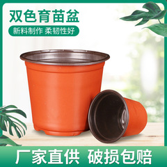2色育苗植木鉢プラスチック厚さ多肉育苗鉢大口径大基地育苗小植木鉢卸売り