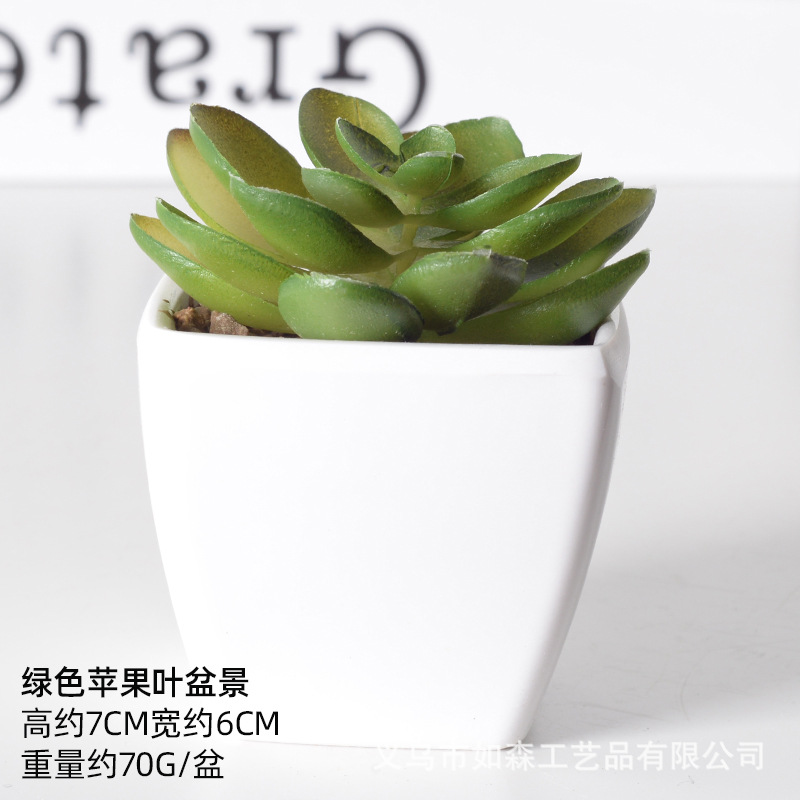 Simulación de plástico carnoso bonsai flor falsa combinación oficina interior escritorio plantas verdes pequeños adornos plantas artificiales al por mayor image 34