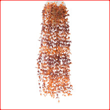 ����С���~�ٗl�ٻ����~�G�~�Gֲ���픻��ٹܵ����������p�@�b�