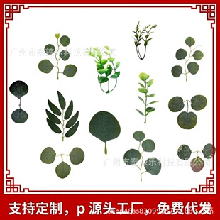 ����Gֲ�ȼ����~���~�ȼ���ˮ������S�����l�ٗl���h�b����