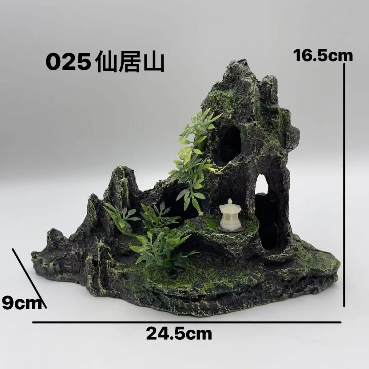 025 ロッカリー
