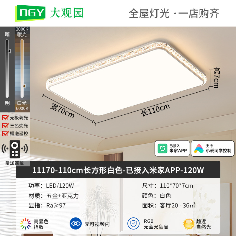 Luz de techo de sala de estar moderna y simple nueva luz de lujo de alto nivel, luz de techo de protección de ojos de espectro completo 293L