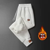 Осенне-зимние Новые повседневные брюки на флисовой подкладке, свободные спортивные брюки, брюки с эластичной талией, модные мужские брюки с завязкой на щиколотке больших размеров