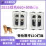 多色超薄美容红光灯珠