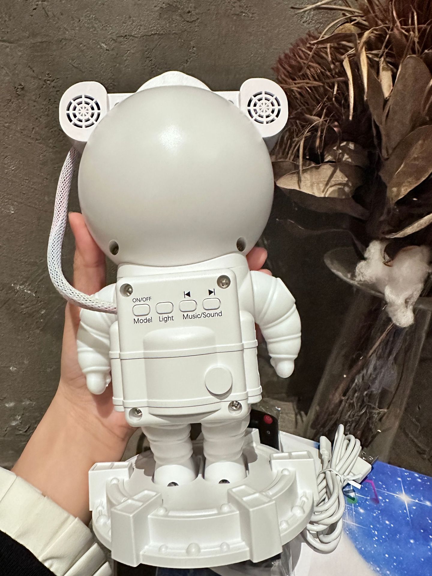 微信图片_20240227192842