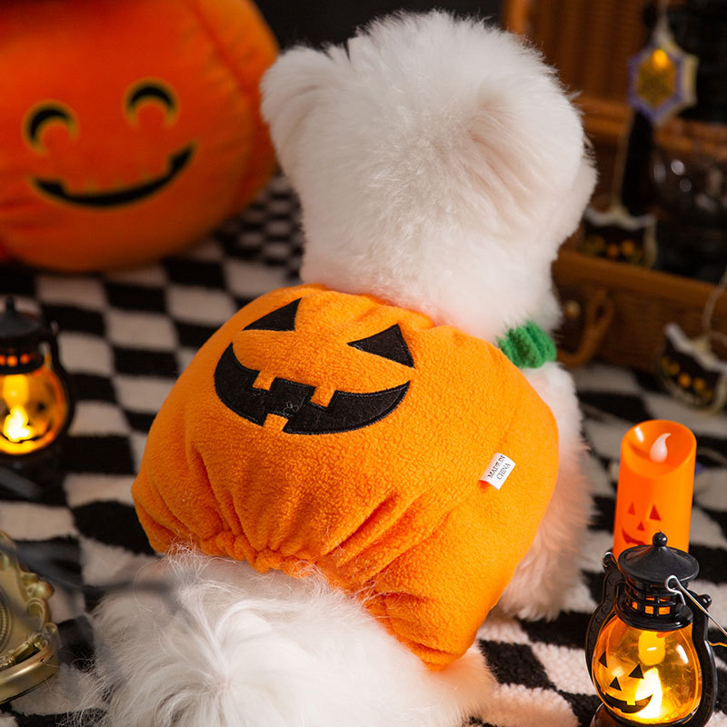 Otoño e Invierno perro Halloween Navidad calabaza luz transformación traje divertido gato dos pies mascota peluche perro ropa