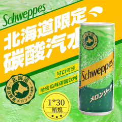日本輸入宜泉 北海道限定 マスクメロン風味ソーダ炭酸飲料 缶サマー 250ml