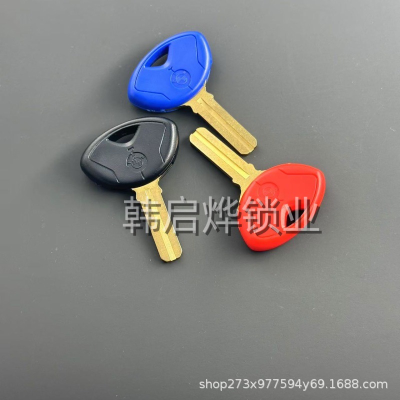 Suitable for Bmw K1200K1300S1000Rrrhp4 Motorcycle Key Replacement with Chip Installation Possible