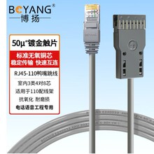 ���P8оRJ45-110����������5�4��110�侀���Z����BY-RJ45-110-4P