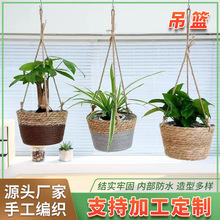 �ݾ����@�������K����ֲ�ﻨ�@��@�L���m�G�}���ԑҒ�ʽ�پ�