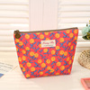 Cosmetic bag, waterproof shoulder bag for traveling, capacious handheld fruit organizer bag